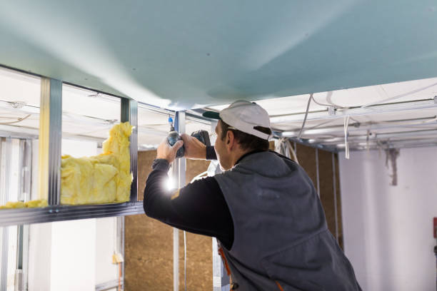 Best Specialized Insulation Services in Port Ewen, NY